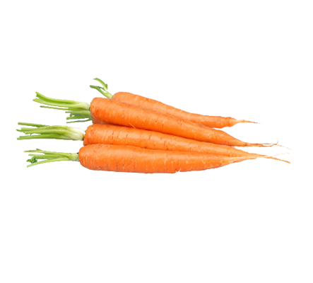 How to Store Carrots & Keep Them Crisp | Glad®