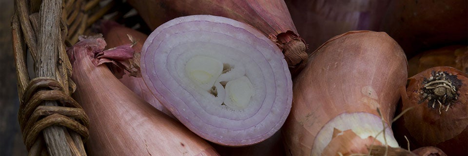 How To Store Shallots Glad