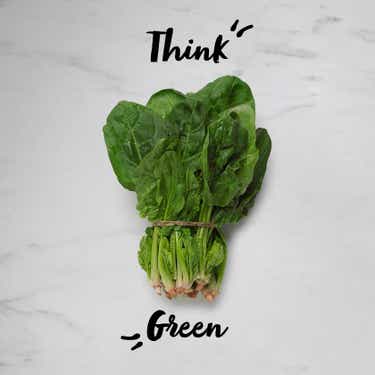 How to keep salad greens greener, longer - AgriLife Today